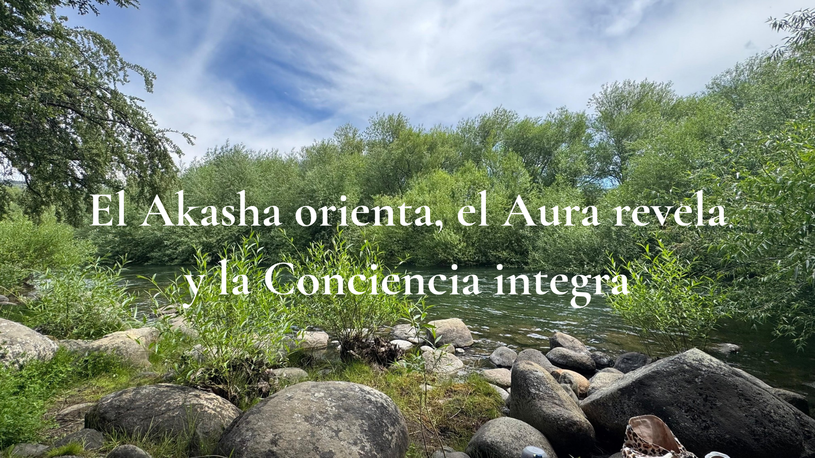 Río Quilquihue entre árboles y vegetación patagónica